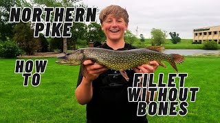 how to fillet pike boneless [upl. by Haisi]