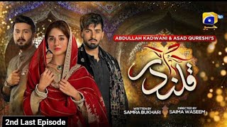 Qalandar Ep 56  Qalandar drama Ep 55 Promo  Qalandar Episode 55  Har Pal geo  قلندر55qalandar55 [upl. by Savanna529]