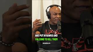 Mike Tyson talks about the Birds Arent Real Theory shorts shortsfeed [upl. by Yenots801]