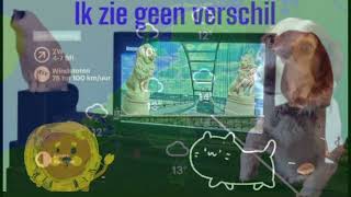 SINT amp POEZEN NIEUWS sint sinterklaas sinterklaasliedjes sneeuw katten nieuws kinderen oma [upl. by Damien]