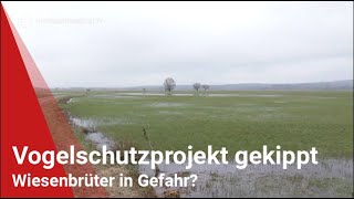 Vogelschutzprojekt gekippt Wiesenbrüter in Gefahr [upl. by Rimaj]