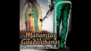 Mariachi Cantares de Mexico  Apariciones Guadalupanas [upl. by Naitsirc]