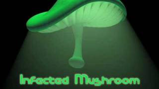 Shakawkaw  Infected Mushroom [upl. by Fitton350]