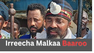 Ayyaana Irreecha Malkaa Baaroo yaadimedianetwork ethiopian [upl. by Franza]