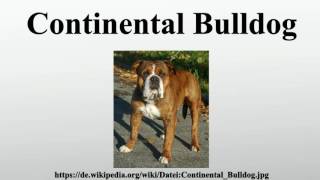 Continental Bulldog [upl. by Eloisa]