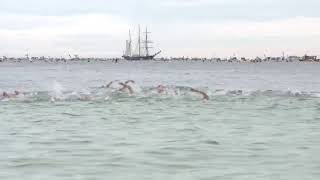 Rottnest Channel Swim Live Stream [upl. by Mahseh]