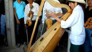 LOS MARINEROS DE TEPALCATEC EN COALCOMAN MICHOACAN [upl. by Aloiv]