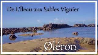 Île dØléron de LÎleau aux Sables Vignier entre plages et dunes Randonnée facile avec tracé [upl. by Adall]