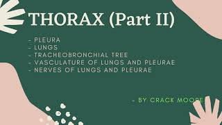 Thorax  Part II Viscera of Thoracic Cavity [upl. by Gretel]