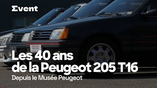 Les 40 ans de la Peugeot 205 Turbo16 S082024 [upl. by Mason]