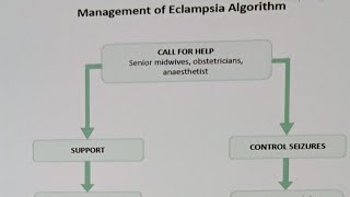 Eclampsia Algorithm mangement  and  International patient safety goals [upl. by Enyawad428]