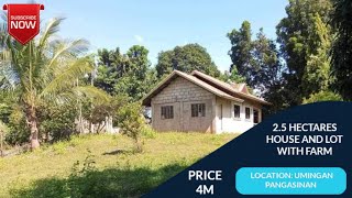 NA 25 HECTARES HOUSE AND LOT WITH FARM PRICE 4M LOCATION UMINGAN PANGASINAN [upl. by Preciosa]