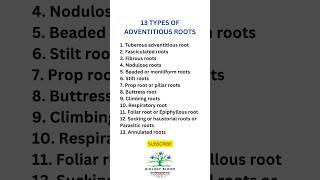 13 Types of ADVENTITIOUS ROOTS biologybloom [upl. by Etessil]