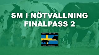 SM i Nötvallning 2024  Finalpass 2 [upl. by Ettecul]