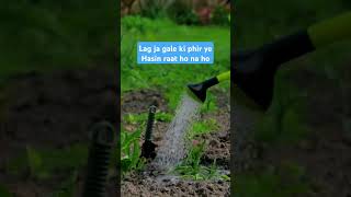 Lag Ja Gale  Full Song Lyrics  Lata Mangeshkar  Evergreen song LagJaGale LataMangeshkar [upl. by Puklich]