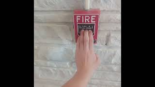 Affton High School Fire Drill  Notifier BG12 [upl. by Cherida]