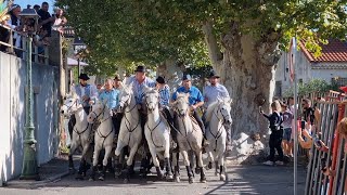 LAMANON Abrivado Manade Grimaud 7102023 [upl. by Sibby246]