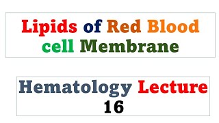 Red Blood cell membrane lipids  Hematology lecture 16 [upl. by Nhguav]