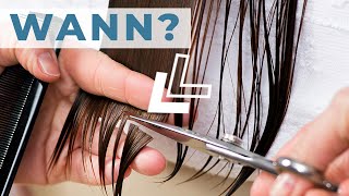 Lange Haare Spitzen schneiden ● Wann amp Warum [upl. by Gusti]