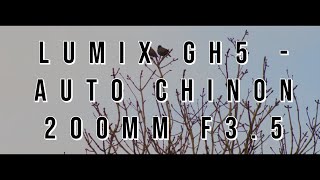 Lumix GH5  Auto Chinon 200mm F35 AMAZING TELEPHOTO LENS [upl. by Nitnilc]