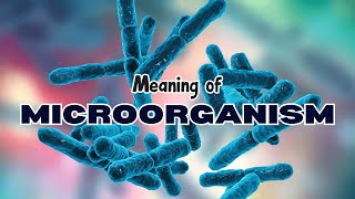 What is the meaning of Microorganism [upl. by Mccahill781]