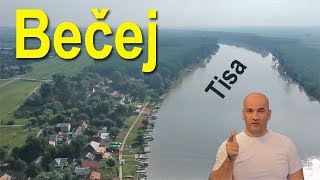 Bečej open water swimming in Tisa river in Serbia [upl. by Cottle849]