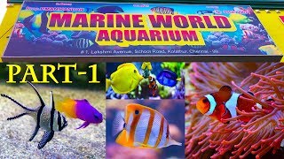 All About Marine Aquariums amp Fishes  கடல் மீன்கள்  Marine World Aquarium  With Price  கொளத்தூர் [upl. by Nehtanhoj645]