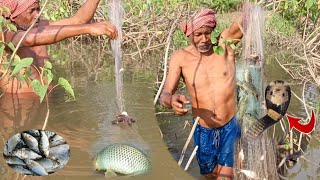 best net fishing video ll villege net fishing video ll new fishing video [upl. by Bright473]