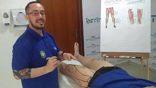 Vídeo 15  Série MASSAGEM ESPORTIVA  Anatomia Palpatória Anterior e Posterior de Coxa [upl. by Humfried]