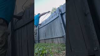 ￼ spraying fence with paint [upl. by Fabrienne838]