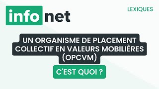 Un OPCVM cest quoi  définition aide lexique tuto explication [upl. by Eiger]