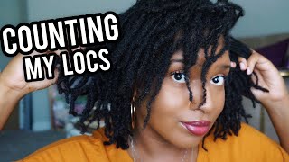 Counting My Locs  Medium Size Locs with Fine Hair [upl. by Losiram]