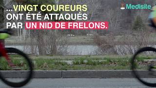 Des coureurs attaqués par des frelons en Bretagne [upl. by Raddy]