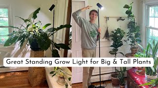 Best LED Grow Light for Tall amp Big Plants  Floor Lamp [upl. by Geralda547]