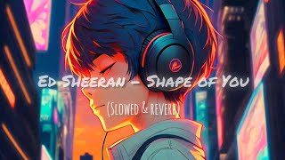 ED Sheeran  shape of you slowed reverb remix song🔥🫠 [upl. by Inalawi305]