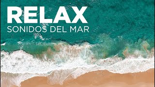 10 HORAS DE SONIDO DE OLAS PARA DORMIR RELAJACIÓN ESTUDIAR O TRABAJAR SONIDOS DEL MAR OCÉANO [upl. by Keon]