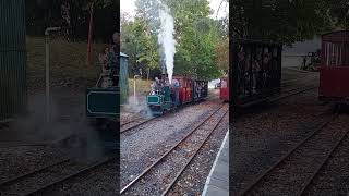 Chaloner on a passenger train at Leighton Buzzard Narrow Gauge Railway [upl. by Xirtaeb]