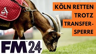 FM24 Lets Play  Den 1 FC Köln retten — trotz Transfersperre [upl. by Sitnerp]