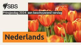 Prinsjesdag 2024 een beschouwend verslag  SBS Dutch  SBS Nederlands [upl. by Deraj503]