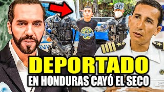 DIOS MÍO CAYÓ EL JEFE MAYOR DE LA MARA DEPORTADO😱 [upl. by Nanice]