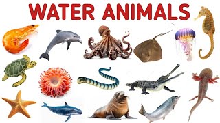 Water Animals  Facts About Some Water Animals  The Kituu World [upl. by Anitsirhcairam54]