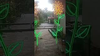 New new style light decoration viral song [upl. by Keldon59]