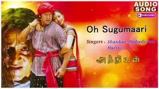 Anniyan  Shankar Movie  O Sukumari Song  Anniyan songs  Vikram songs  Harris Jayaraj hits [upl. by Field943]