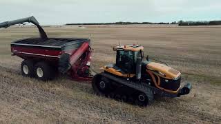 HARVEST AT WIERENGA FARMS 4K [upl. by Balthazar335]