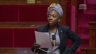 PLF 2018  lensemble des amendements défendus par Danièle Obono 151217 [upl. by Yun983]