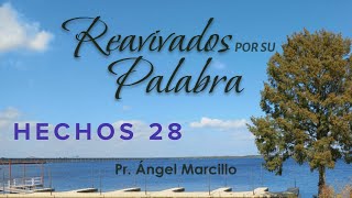 REAVIVADOS POR SU PALABRA HECHOS 28 24 DE NOVIEMBRE DEL 2024 [upl. by Leba405]