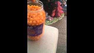 Bickels of York Cheese Balls Review [upl. by Navada]