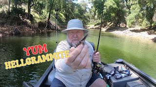 First Time Fishing the HELLGRAMMITE  Lake Nacimiento [upl. by Averil]