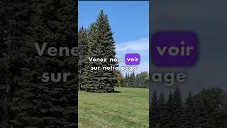 Parc Maisonneuve vidéo ici httpsyoutubexPO6XYrPs4Q [upl. by Drofub]