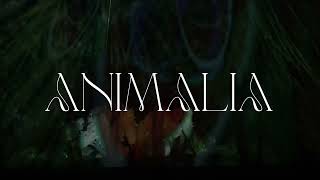 ANIMALIA Trailer [upl. by Wilonah]